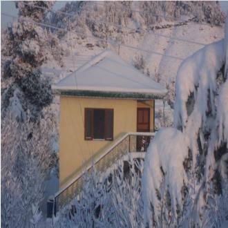 TG Stays Neen Village, Shimla 5
